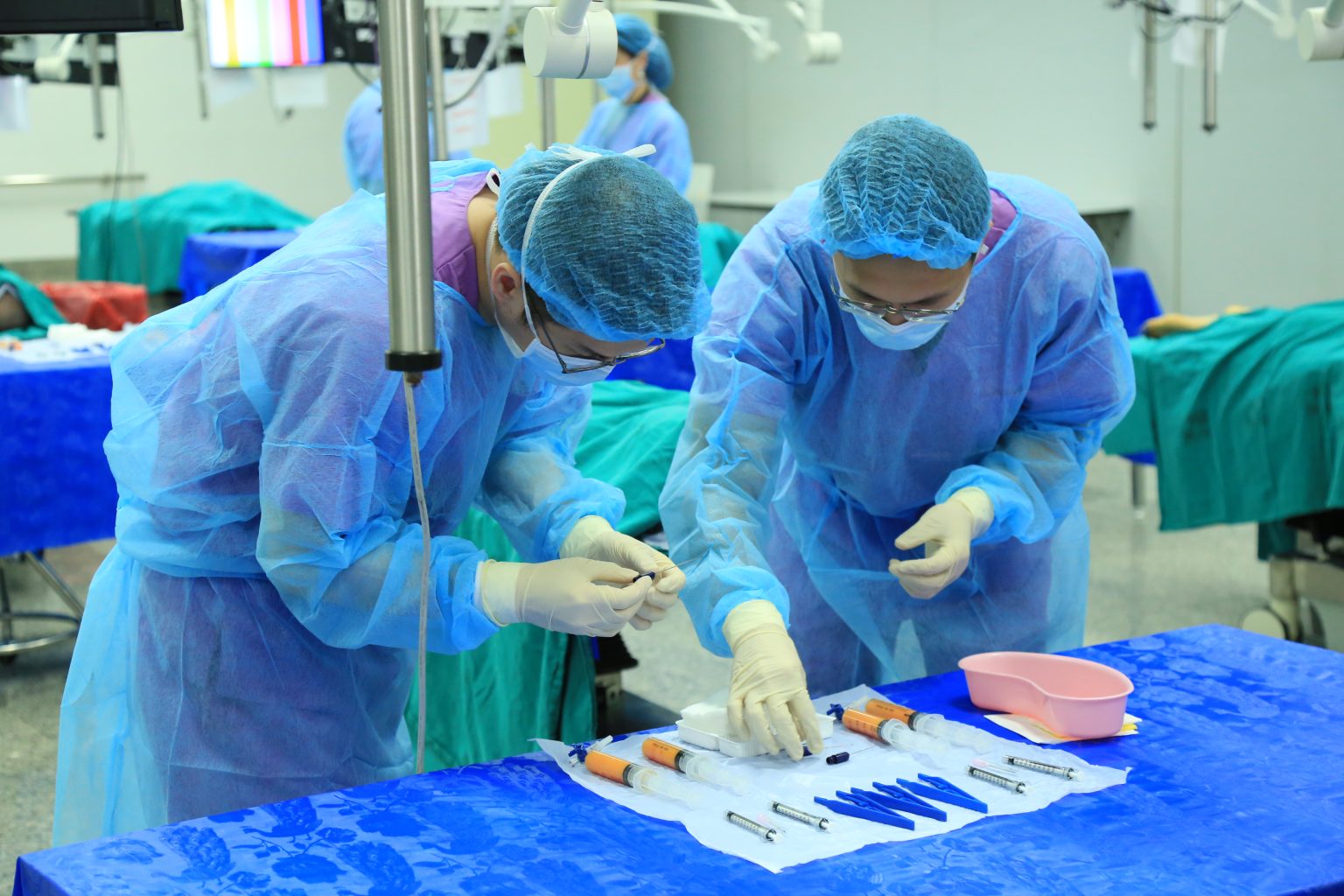 HandsOn Cadaver Course Full Face Anatomy Dissection and Facial Fat